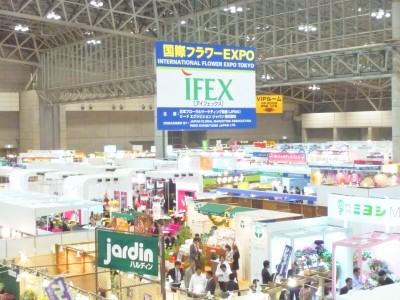 IFEX